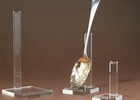 Spoon Displays Spoon Displays
