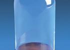 Glass Dome with Walnut Base Glass Dome with Walnut Base